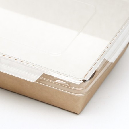Container with a flat lid, craft, 0.8 l, 19 x 13 x 5.5 cm-4