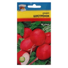 Seeds Radis 