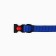 A collar with a nylon lining with Fasteks 2 cm, a bil