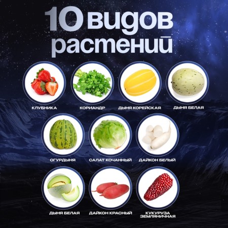 Set for experiments "My mini-farm", cultivation of plants, in space-2
