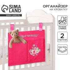 Organizer for storing things for the crib 