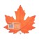 Poster "Mine Leaf" Orange, 10 x 11 cm