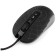 Game Gambird MG-560, USB, black, web