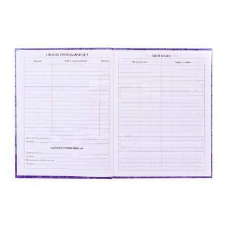 Diary for grades 1-4 "Bear", hard cover, glossy lamination, 48 sheets-4