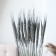 Dry Column of wheat, set 30 pcs., Silver color