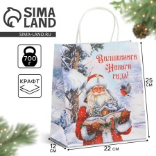 Craft Magic New Year package, 22 x 25 x 12 cm, New Year