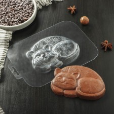 Form for chocolate and sweets 