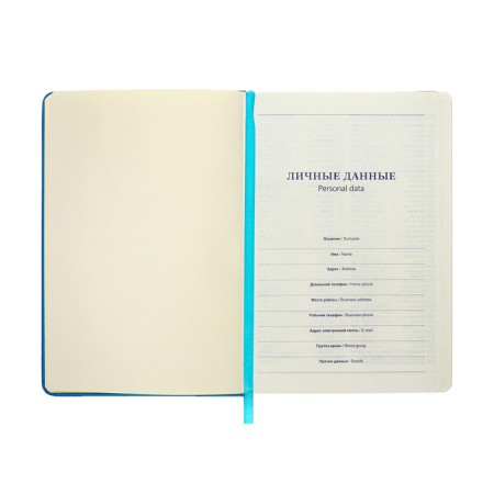 Leduced Diary A5, 140l, Cage, leatherette, elastic band, yellow cut, blue-6