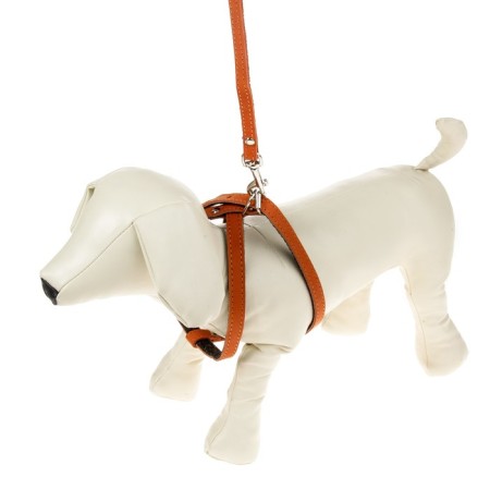 Set "Zononic": a slope with a leash for puppies, 150 x 0.12 cm, leather, mix-2