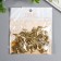 Protective corner for the album Metal "Curls" set 100 pcs gold 1.4x1.4 cm
