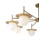 Suspended lamp Freya Fr5202PL-08BS Camelia, 1000x1000x420 mm, E27, 8x60W, brass color
