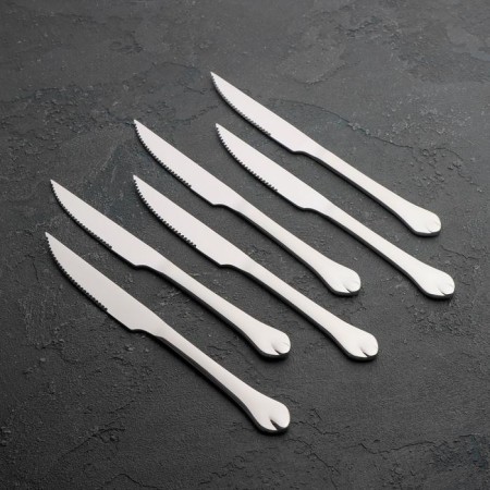 Stainless steel meat knives “drop”, length 22.5 cm, 6 pcs, silver color.