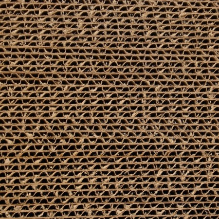 House with clawshell, 45 x 41 x 45.5 cm-8