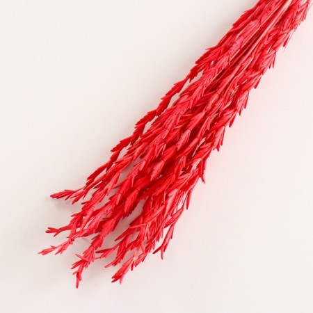 Set of dried flowers "Raigrace", banch 21 pcs, length 60 (+/- 6 cm), red-2
