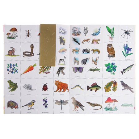 Full annual course from 6 to 7 years. 12 books with games and stickers. Denisova D.-9