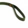 Two -layer leash with reinforced carbine, 2 m x 2 cm, green