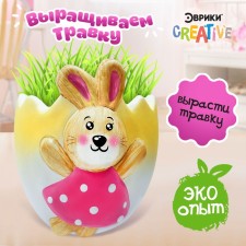 Set for experiments “grow grass”, bunny
