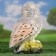 Garden figure "Owl" 26cm