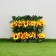 Decorative fence, 110 × 40 cm, “sunflowers”, Greengo