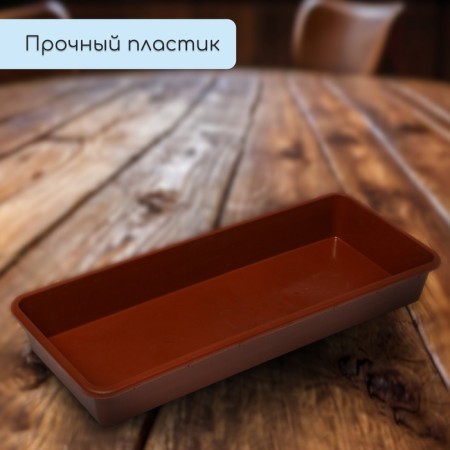 Box for seedlings, 53 × 21.5 × 7.2 cm, 7.5 l, mix-2