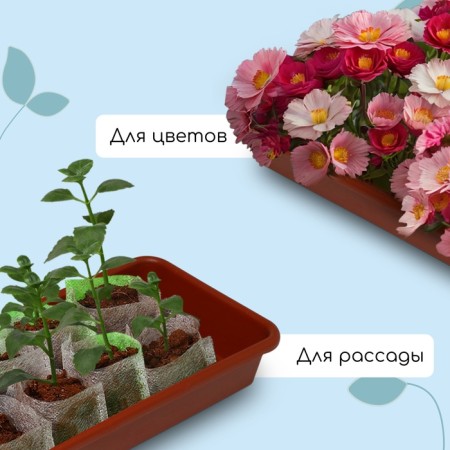 Box for seedlings, 65 × 22 × 7 cm, 9 l, color mix-3