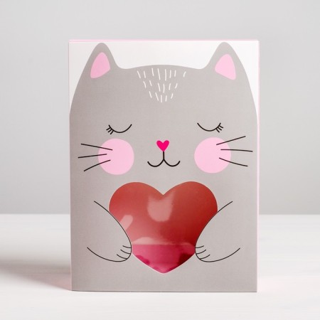Confectionery box, packaging, “cat”, 20 x 15 x 5 cm-2