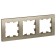 Frame SE AtlasDesign, 3-fast, universal, champagne color