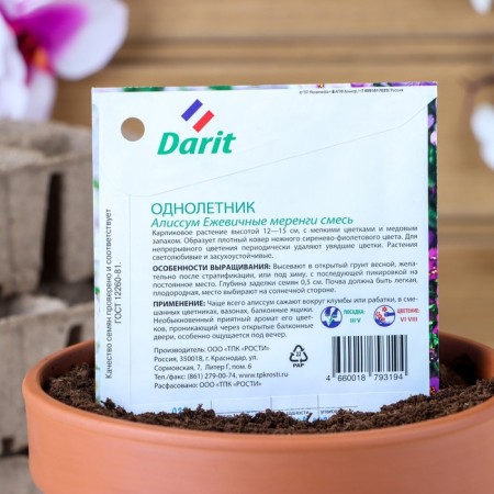 Alissum flowers "Blackmary Merengi", O, Darit 0.2 g-1