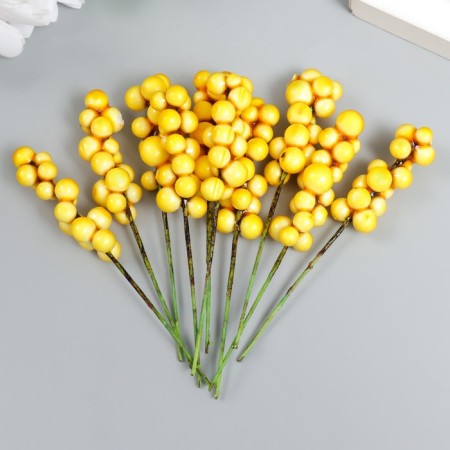 Decor for creativity "Vetochka with berries" yellow set 10 pcs 1x1x9 cm-2