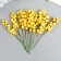 Decor for creativity "Vetochka with berries" yellow set 10 pcs 1x1x9 cm