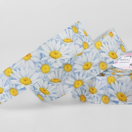 Republic tape "Chamomile", 25 mm, 23 ± 1 m, multi -colored
