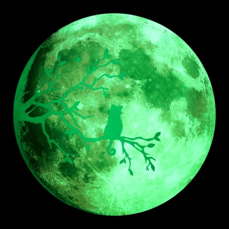 Stick 3D Interior "Full Moon", luminous, 30x30cm