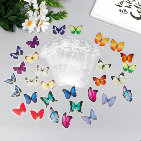 Stickers for creativity "Butterfly in the bank" set of 35 pcs 13.3x9.2 cm