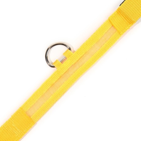Collar with backlight size S, Osh 35-43 x 2.5 cm, 3 glow modes yellow-8