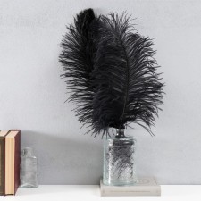 Feather of ostrich 30-35 cm, black
