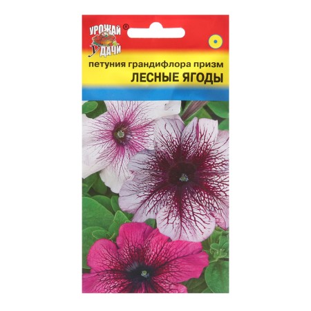 Flowers of Petunia "Prisms Forest Berries", F1, 10pcs