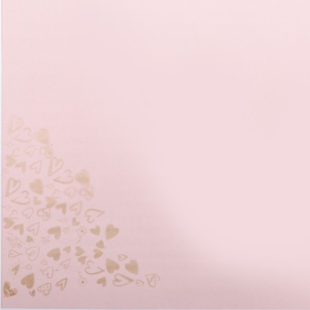 Matte film with a drawing "Amur", light pink color, 60 x 60 cm-2