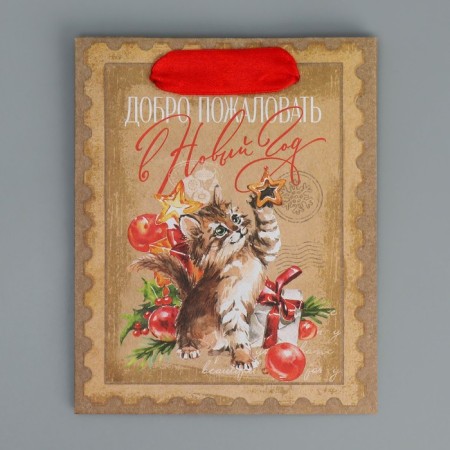 Craft vertical package “Welcome to the New Year”, S 12 x 15 x 5.5 cm, New Year-7