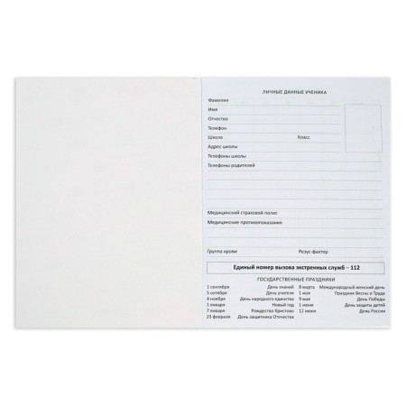School diary for grade 1-11, be different! Cat!, Soft cover, artificial leather, block 80 g/m2, liesse-4