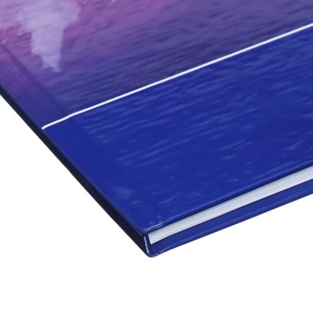 Universal diary for grades 1-11 Iceberg in the Ocean, hard cover, glossy lamination, 40 sheets-2
