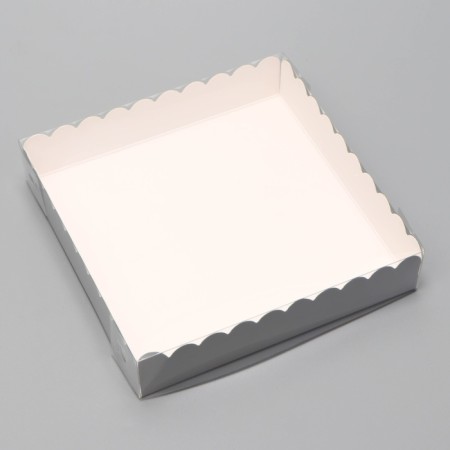 Box for cookies, silver, 15 x 15 x 3 cm-2