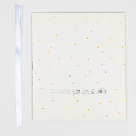 Box Fold -sided double -sided "champagne", 20 x 18 x 5 cm, new year-6