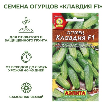 Cucumber seeds "Claudia F1", early -ripe, parthenocarpic, 10 pcs