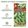 Cucumber seeds "Claudia F1", early -ripe, parthenocarpic, 10 pcs