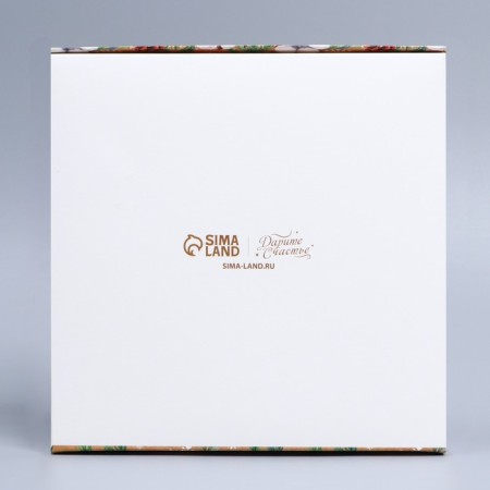 Folding box "Eco New Year", 20 x 20 x 4 cm, new year-4