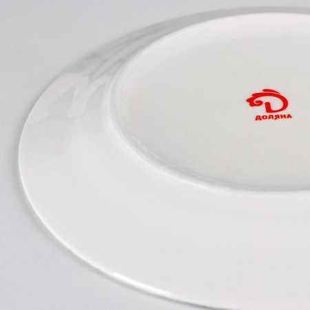 Plate porcelain dessert shade "Eucalypt", d = 20.5 cm-2