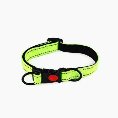 A collar with a nylon lining with a fastx 2.5 cm, cv green-2
