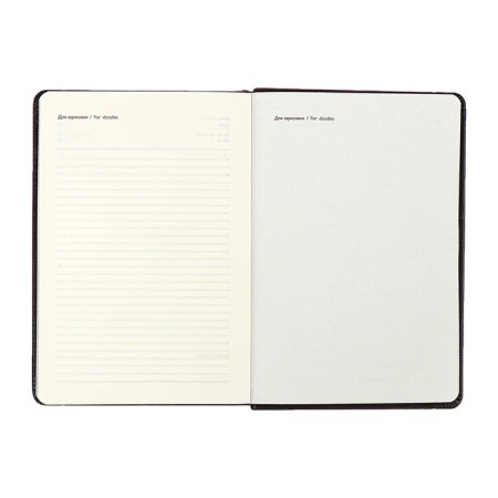 Diary Nedtir A5 160l Escalada, TV Region, Light claim, Las, tone BL 70g/m2, brown-13