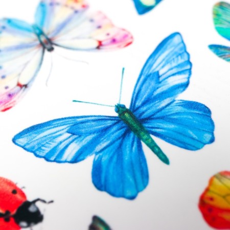 Tattoo on the body "Multi -colored butterflies" 10x15 cm-2