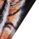 Picture on the canvas "Tiger" 50*70 cm